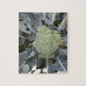 Broccoli Puzzle (Vertikal)