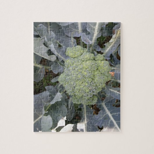 Broccoli Puzzle (Vertikal)