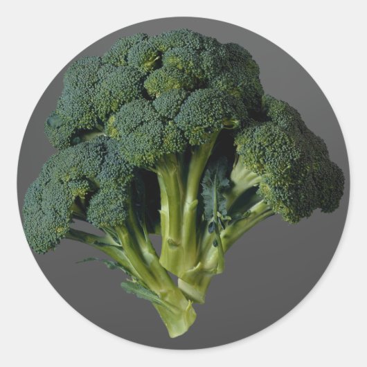 Broccoli Runder Aufkleber (Vorderseite)
