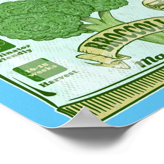 Broccoli Saatgut Gemüseanbau Poster (Ecke)