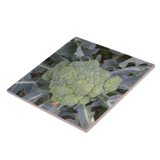 Broccoli Tile Fliese (Seite)