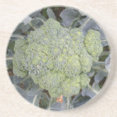 Broccoli Untersetzer (Vorne)