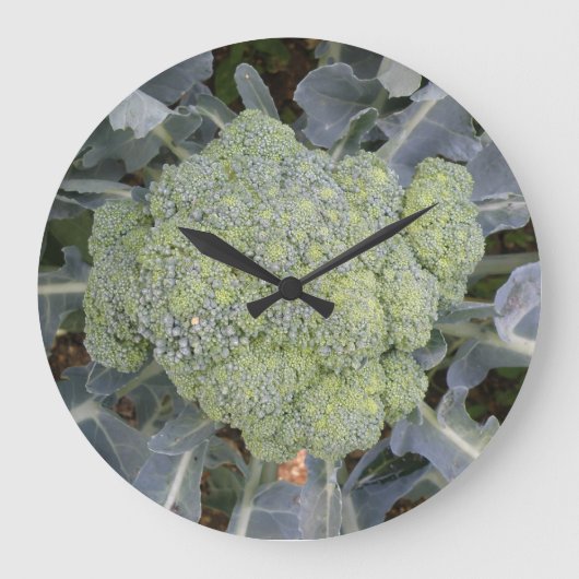 Broccoli Wall Clock Große Wanduhr (Vorderseite)