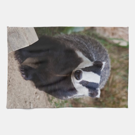 Brock Kitchen Towel Handtuch (Horizontal)