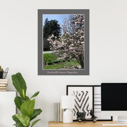 Brockville Ontario Magnolias Poster (Heimbüro)