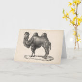 Brodtmann Camel Sketch Karte (Gelbe Blume)