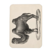 Brodtmann Camel Sketch Magnet (Vertikal)