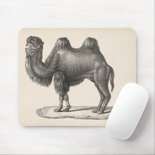 Brodtmann Camel Sketch Mousepad