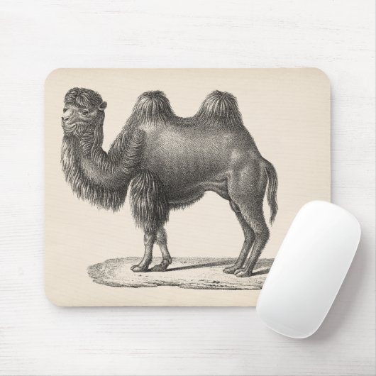 Brodtmann Camel Sketch Mousepad (Mit Mouse)