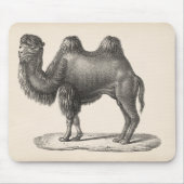 Brodtmann Camel Sketch Mousepad (Vorne)