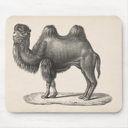 Brodtmann Camel Sketch Mousepad (Vorne)