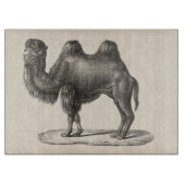 Brodtmann Camel Sketch Schneidebrett (Vorderseite)