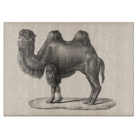 Brodtmann Camel Sketch Schneidebrett (Vorderseite)