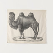Brodtmann Camel Sketch Wandteppich (Vorderseite (Horizontal))