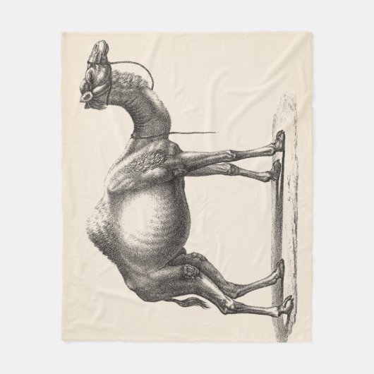 Brodtmann Dromedary Camel Sketch Fleecedecke (Vorderseite)