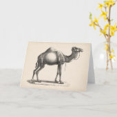 Brodtmann Dromedary Camel Sketch Karte (Gelbe Blume)