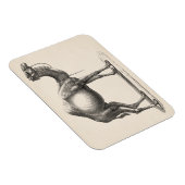 Brodtmann Dromedary Camel Sketch Magnet (Rechte Seite)