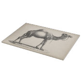Brodtmann Dromedary Camel Sketch Schneidebrett (Ecke)