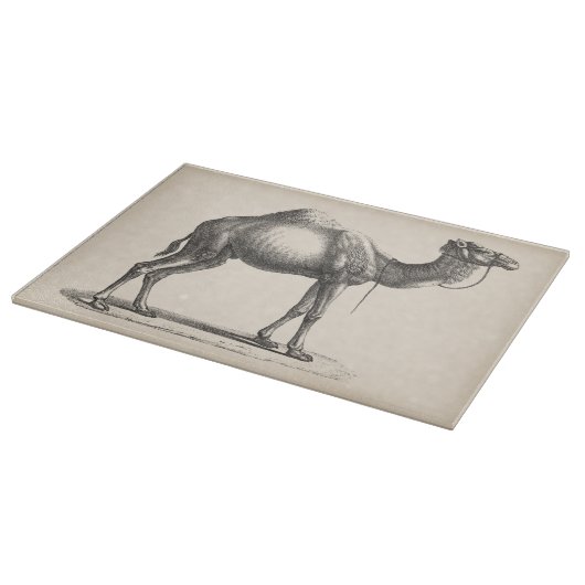 Brodtmann Dromedary Camel Sketch Schneidebrett (Ecke)