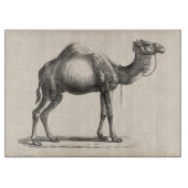 Brodtmann Dromedary Camel Sketch Schneidebrett (Vorderseite)