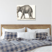 Brodtmann Elephant Sketch Leinwanddruck (Insitu (Schlafzimmer))