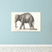 Brodtmann Elephant Sketch Leinwanddruck (Insitu (Holzboden))