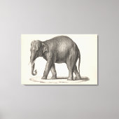 Brodtmann Elephant Sketch Leinwanddruck (Vorderseite)