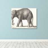 Brodtmann Elephant Sketch Leinwanddruck (Insitu (Holzboden))