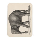 Brodtmann Elephant Sketch Magnet (Vertikal)