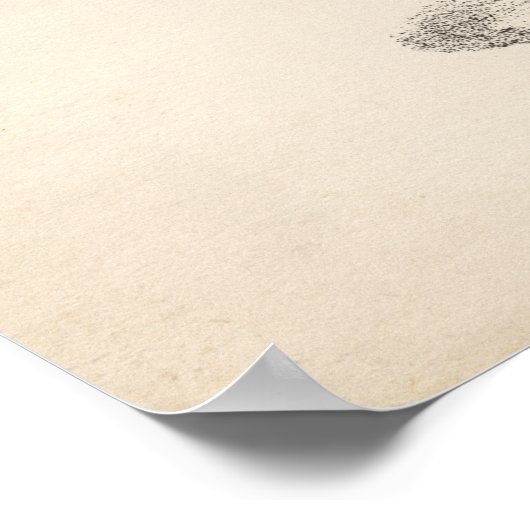 Brodtmann Elephant Sketch Poster (Ecke)