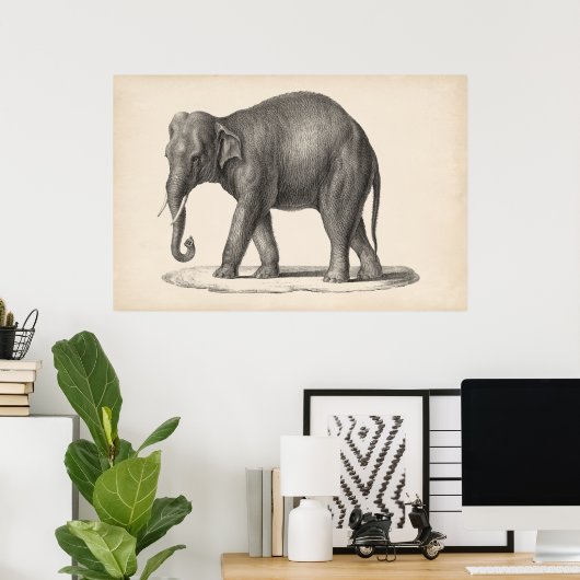 Brodtmann Elephant Sketch Poster (Heimbüro)