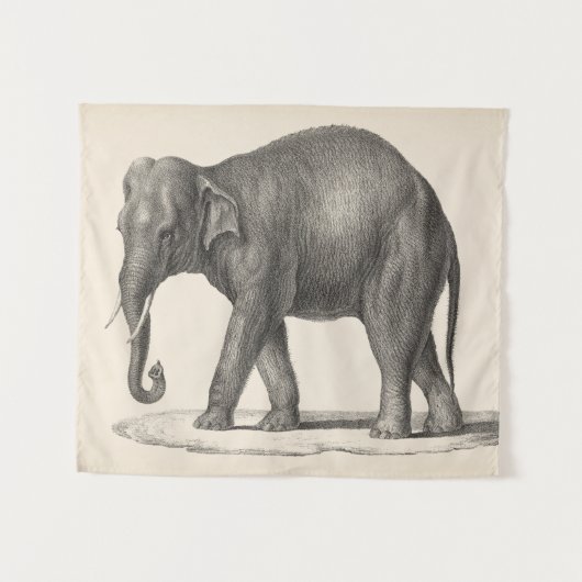 Brodtmann Elephant Sketch Wandteppich (Vorderseite (Horizontal))