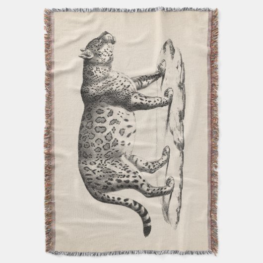 Brodtmann Leopard Sketch Decke (Vorderseite Vertikal)