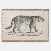Brodtmann Leopard Sketch Decke (Vorderseite)