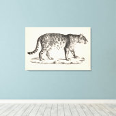 Brodtmann Leopard Sketch Leinwanddruck (Insitu (Holzboden))