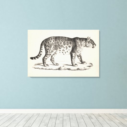 Brodtmann Leopard Sketch Leinwanddruck (Insitu (Holzboden))