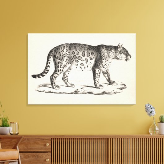 Brodtmann Leopard Sketch Leinwanddruck (Insitu (Wohnzimmer))