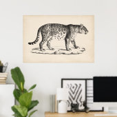 Brodtmann Leopard Sketch Poster (Heimbüro)