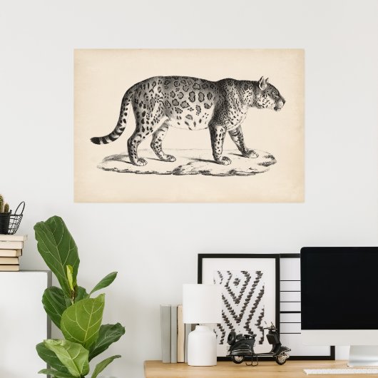 Brodtmann Leopard Sketch Poster (Heimbüro)