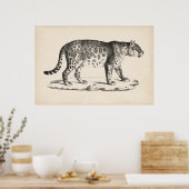 Brodtmann Leopard Sketch Poster (Küche)