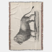 Brodtmann Lion Sketch Decke (Vorderseite Vertikal)