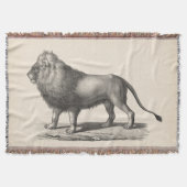 Brodtmann Lion Sketch Decke (Vorderseite)