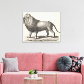 Brodtmann Lion Sketch Leinwanddruck (Insitu (Wohnzimmer))