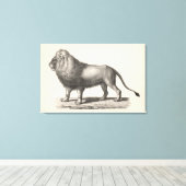 Brodtmann Lion Sketch Leinwanddruck (Insitu (Holzboden))