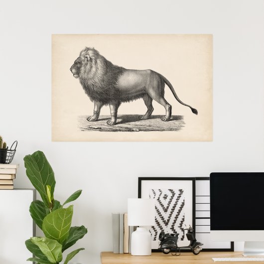 Brodtmann Lion Sketch Poster (Heimbüro)