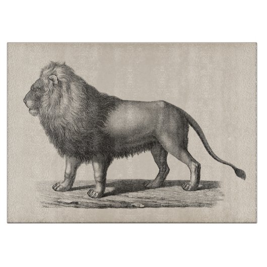 Brodtmann Lion Sketch Schneidebrett (Vorderseite)