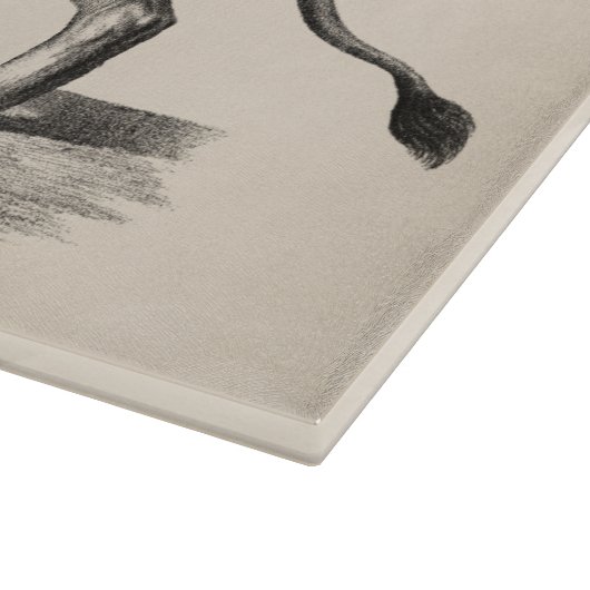 Brodtmann Lion Sketch Schneidebrett (Ecke)