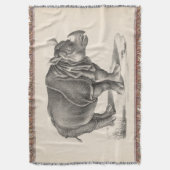 Brodtmann Rhinoceros Sketch Decke (Vorderseite Vertikal)