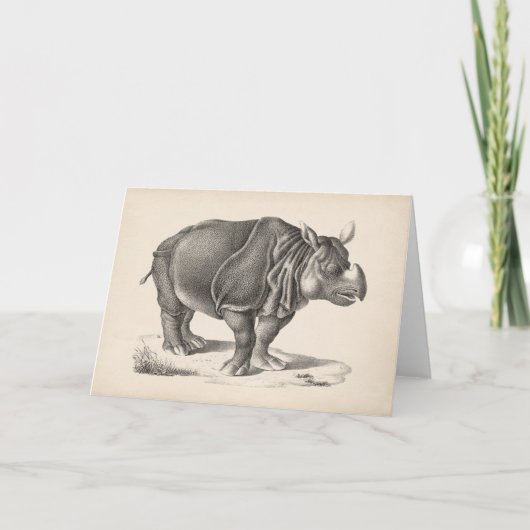 Brodtmann Rhinoceros Sketch Karte (Vorderseite)