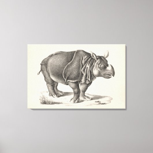 Brodtmann Rhinoceros Sketch Leinwanddruck (Vorderseite)